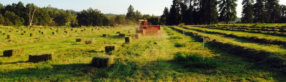 Myers Family Ranch